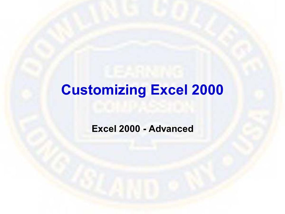 Customizing Excel 2000 Excel Advanced
