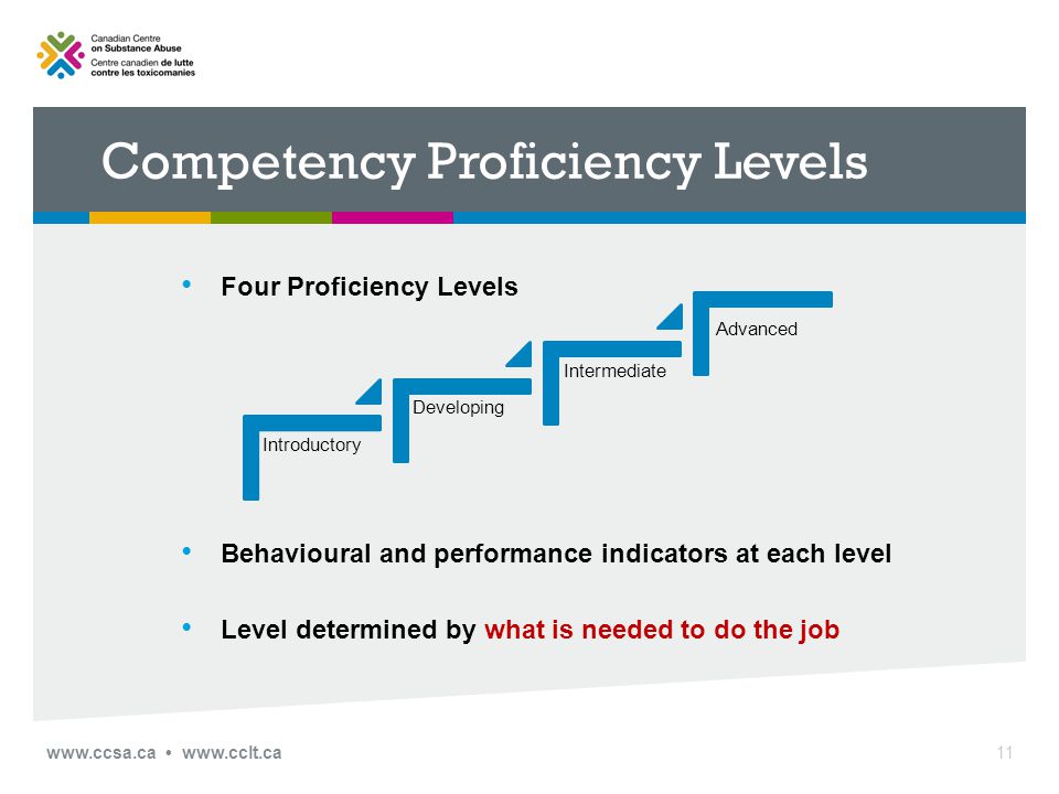 Competency Proficiency Levels Four Proficiency Levels Behavioural and performance indicators at each level Level determined by what is needed to do the job 11 Introductory Developing Intermediate Advanced
