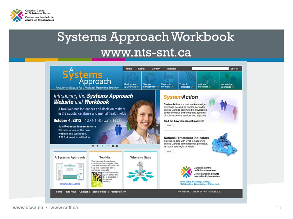 Systems Approach Workbook