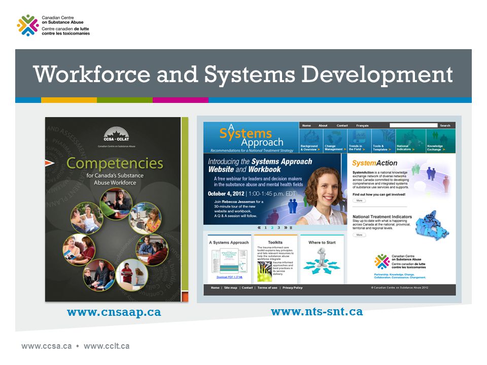 Workforce and Systems Development