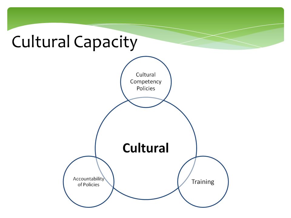 Cultural Capacity