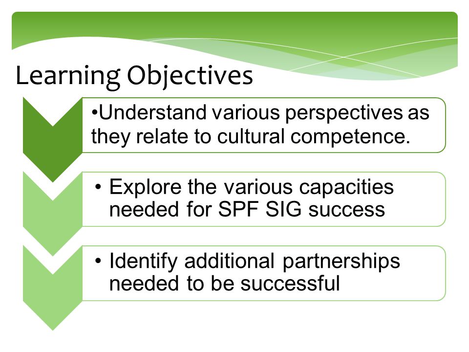 Learning Objectives Understand various perspectives as they relate to cultural competence.