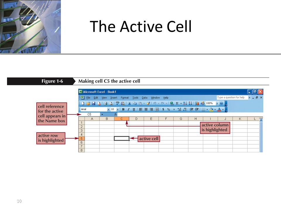 XP The Active Cell 10