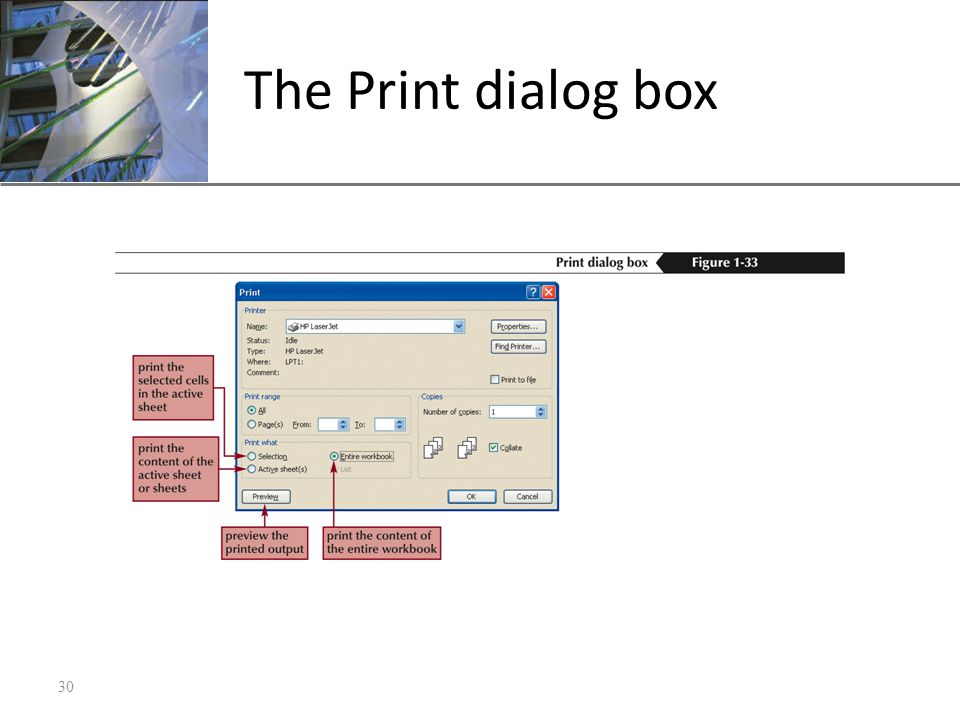 XP The Print dialog box 30