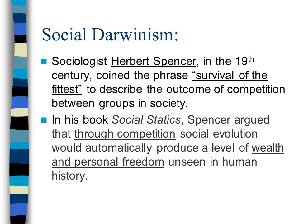 What is Social Darwinism.