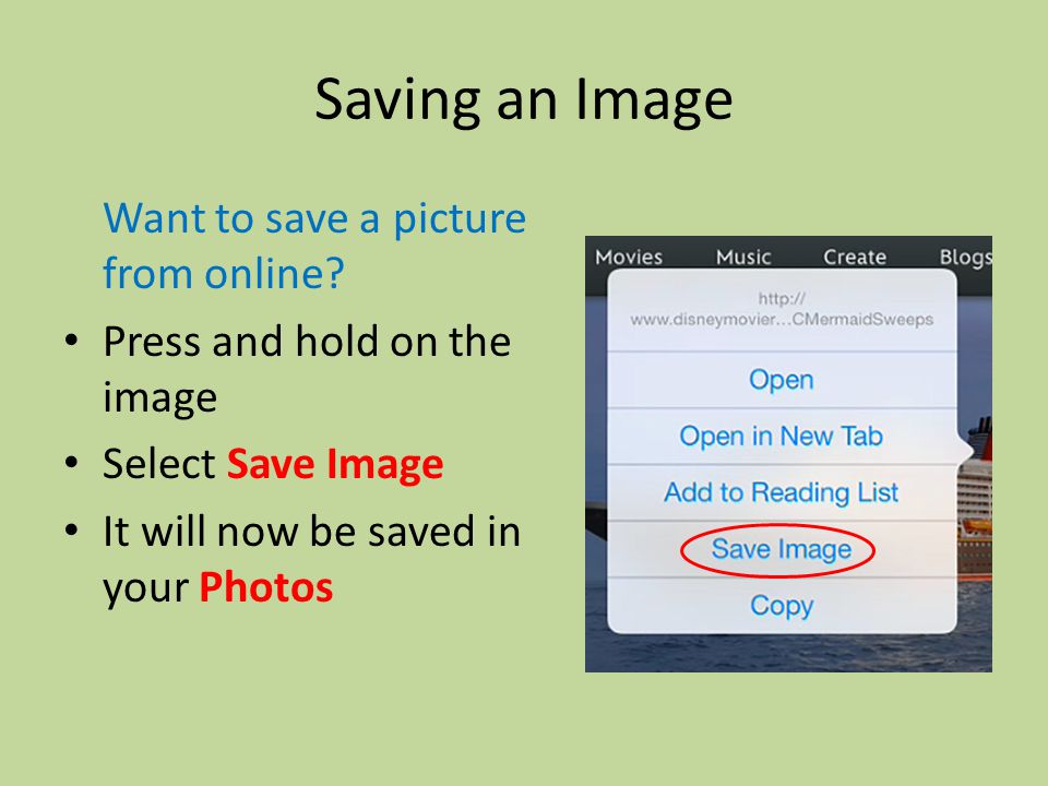 Saving an Image Want to save a picture from online.
