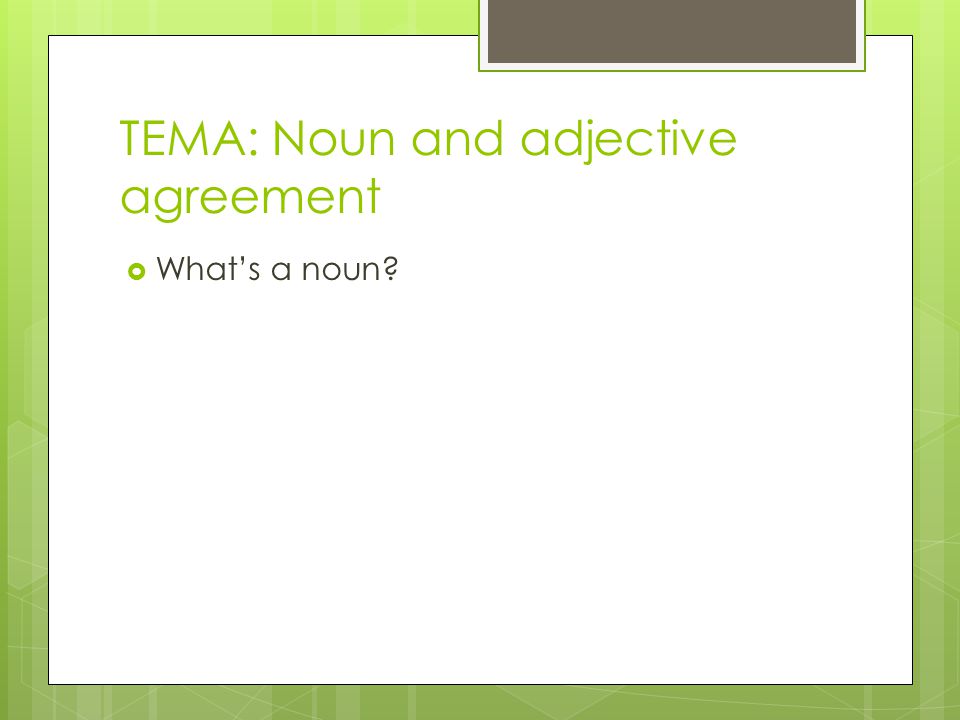 TEMA: Noun and adjective agreement  What’s a noun