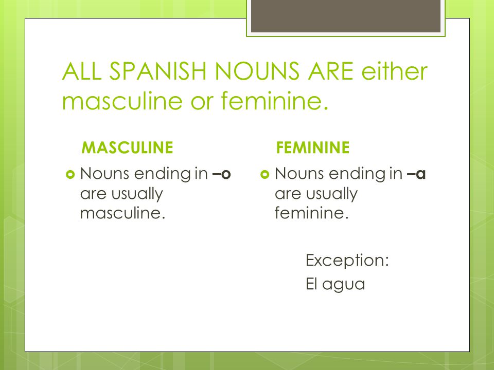 ALL SPANISH NOUNS ARE either masculine or feminine.