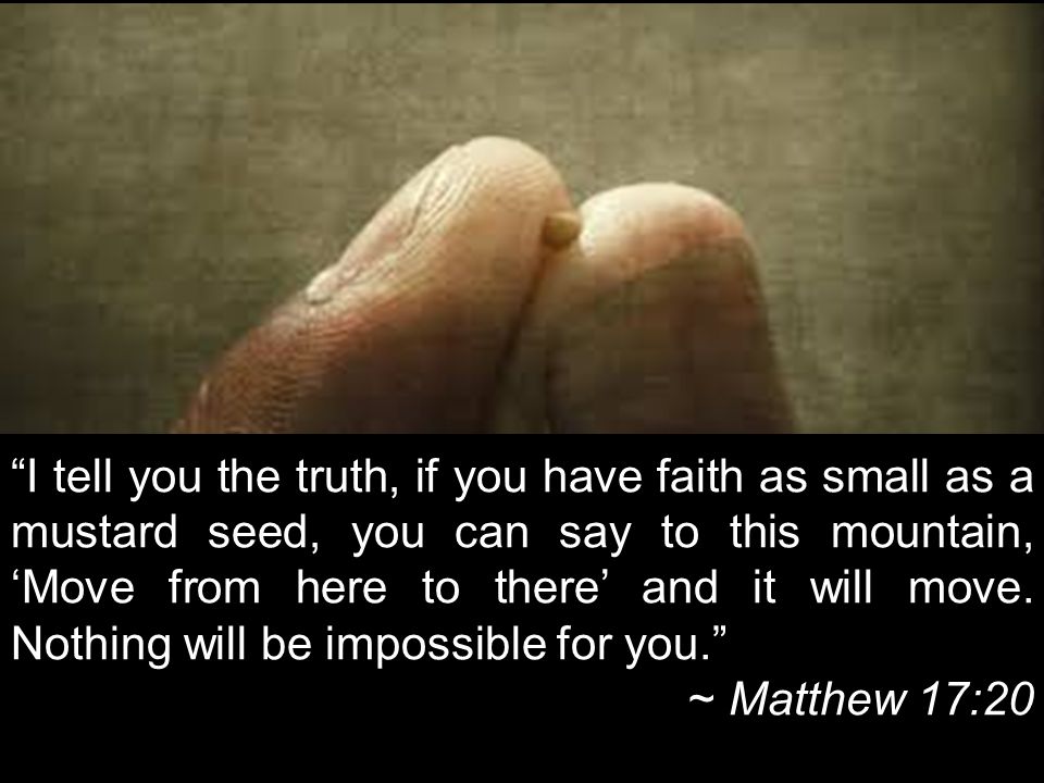 I tell you the truth, if you have faith as small as a mustard seed, you can say to this mountain, ‘Move from here to there’ and it will move.