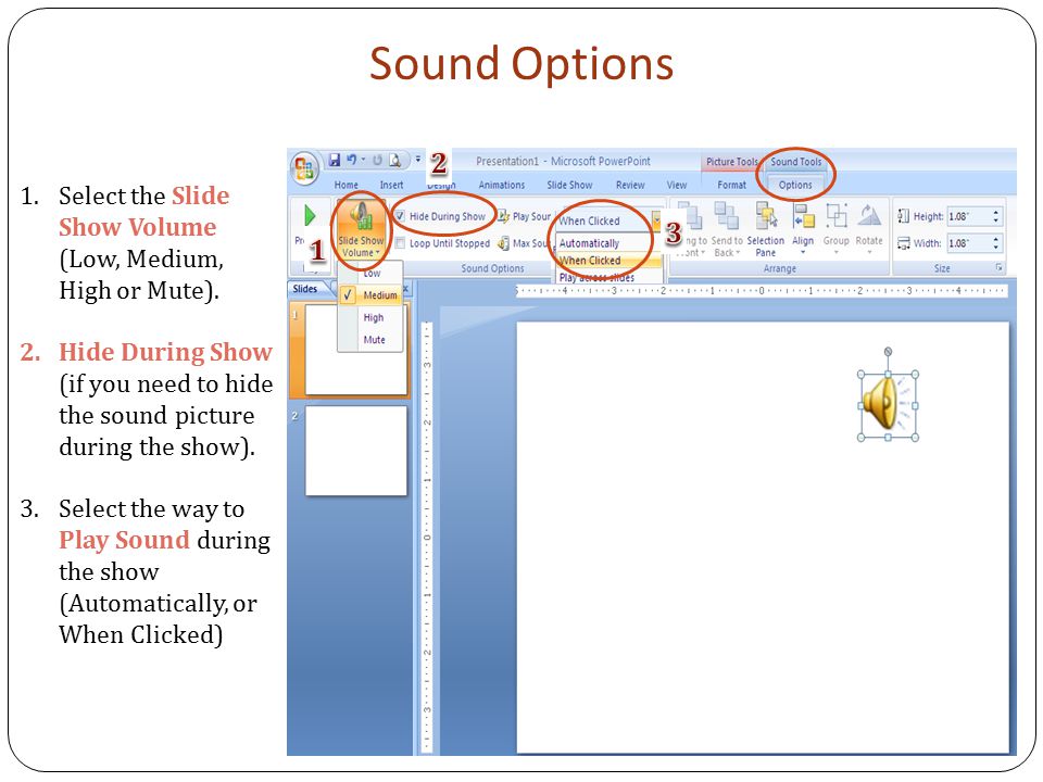 Sound Options 1.Select the Slide Show Volume (Low, Medium, High or Mute).