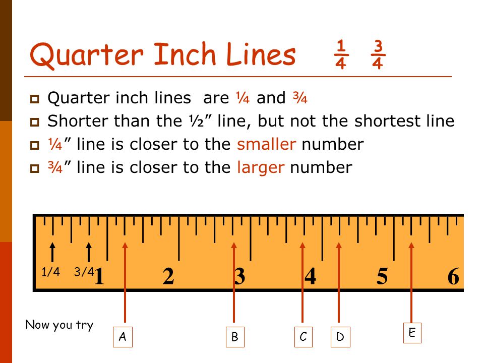Measurement Measure Twice Cut Once Nancy Overton Career Choices Upper Bucks Avts Ppt Download