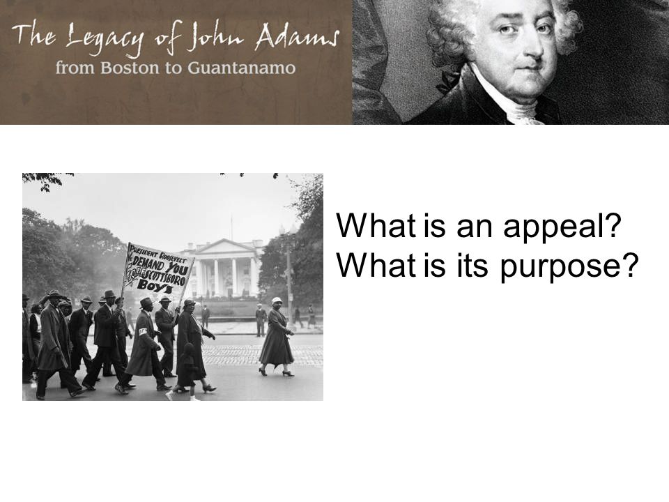 What is an appeal What is its purpose