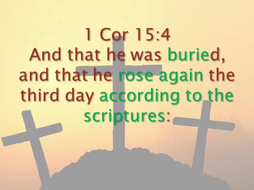 1 Cor 15:4 And that he was buried, and that he rose again the third day according to the scriptures: