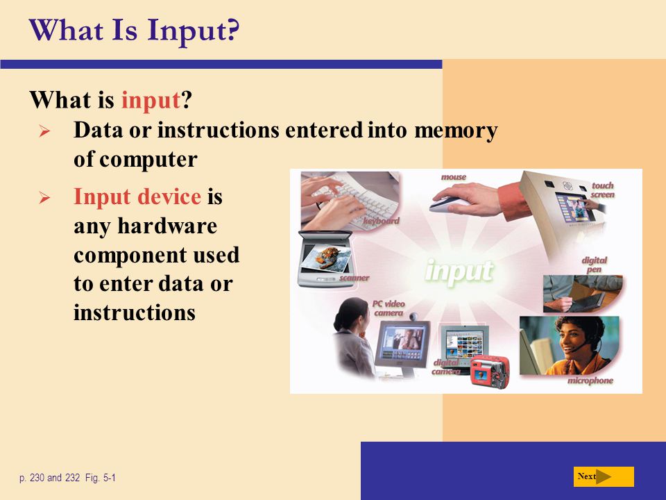 What Is Input. What is input. p. 230 and 232 Fig.