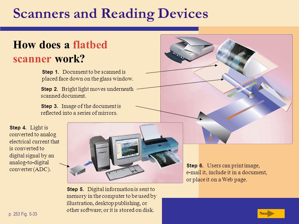 Scanners and Reading Devices How does a flatbed scanner work.