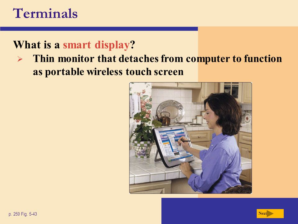 Terminals What is a smart display. p. 259 Fig.