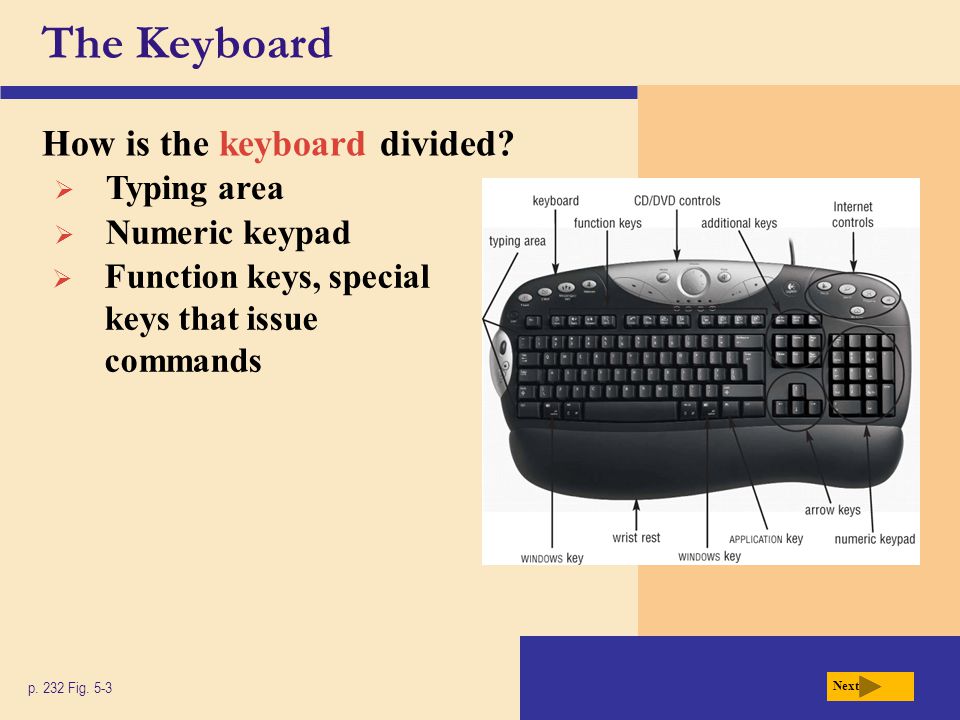 The Keyboard How is the keyboard divided. p. 232 Fig.