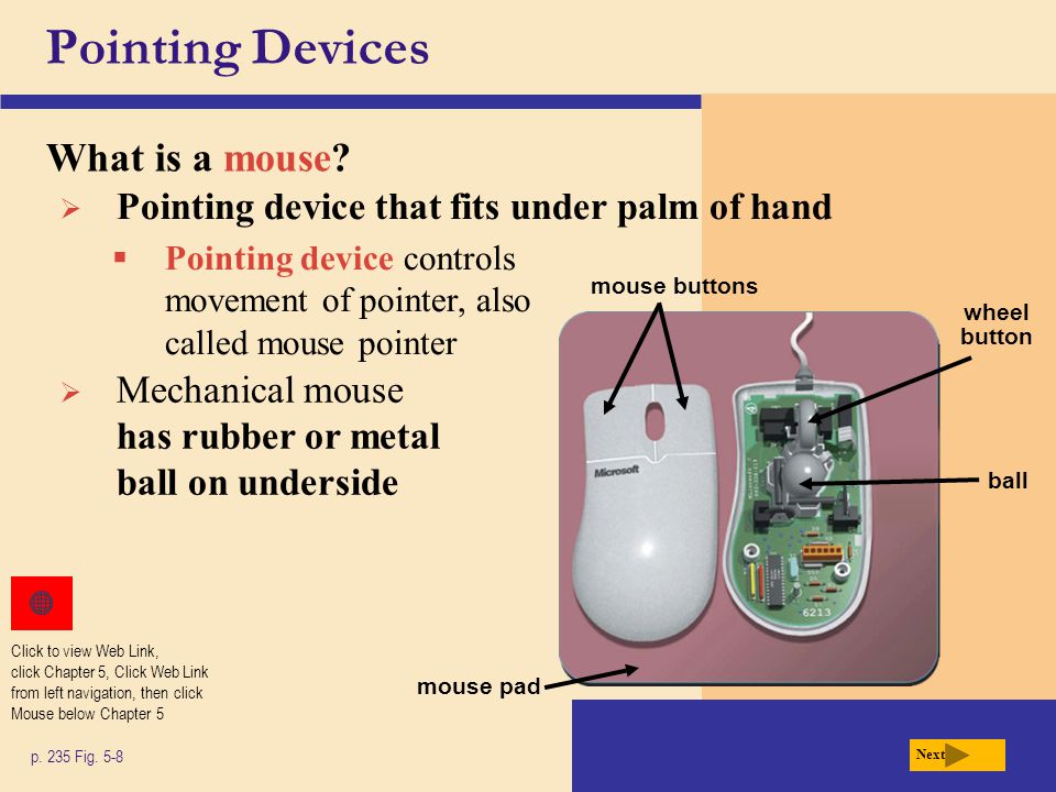 Pointing Devices What is a mouse. p. 235 Fig.