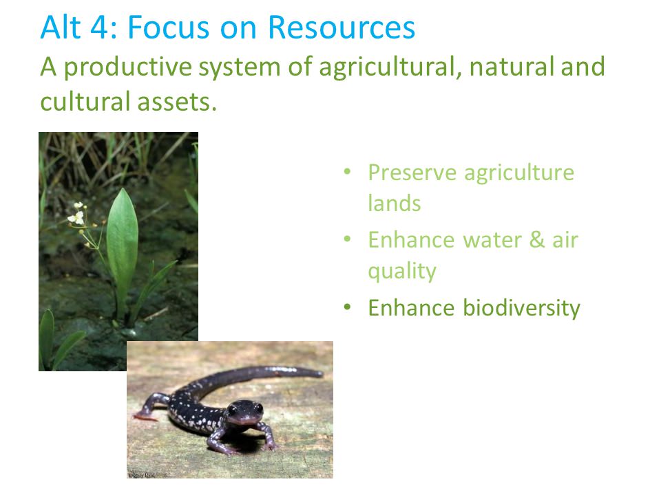 Preserve agriculture lands Enhance water & air quality Enhance biodiversity Alt 4: Focus on Resources A productive system of agricultural, natural and cultural assets.
