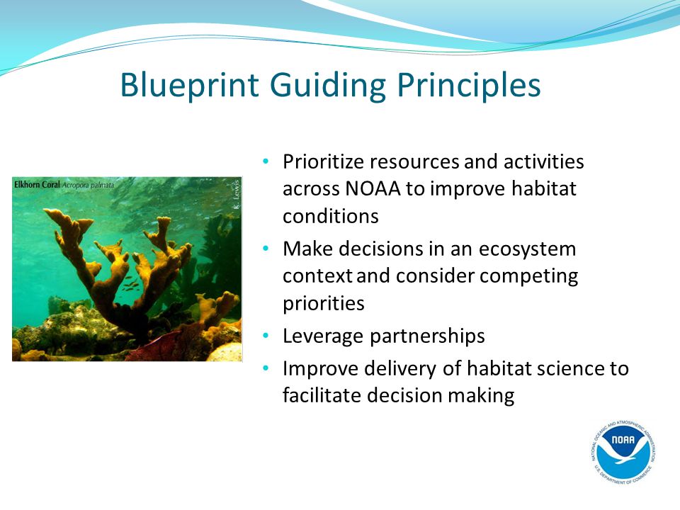 Blueprint Guiding Principles Prioritize resources and activities across NOAA to improve habitat conditions Make decisions in an ecosystem context and consider competing priorities Leverage partnerships Improve delivery of habitat science to facilitate decision making
