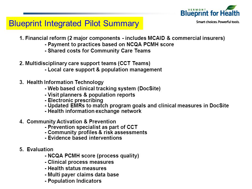 Blueprint Integrated Pilot Summary 1.