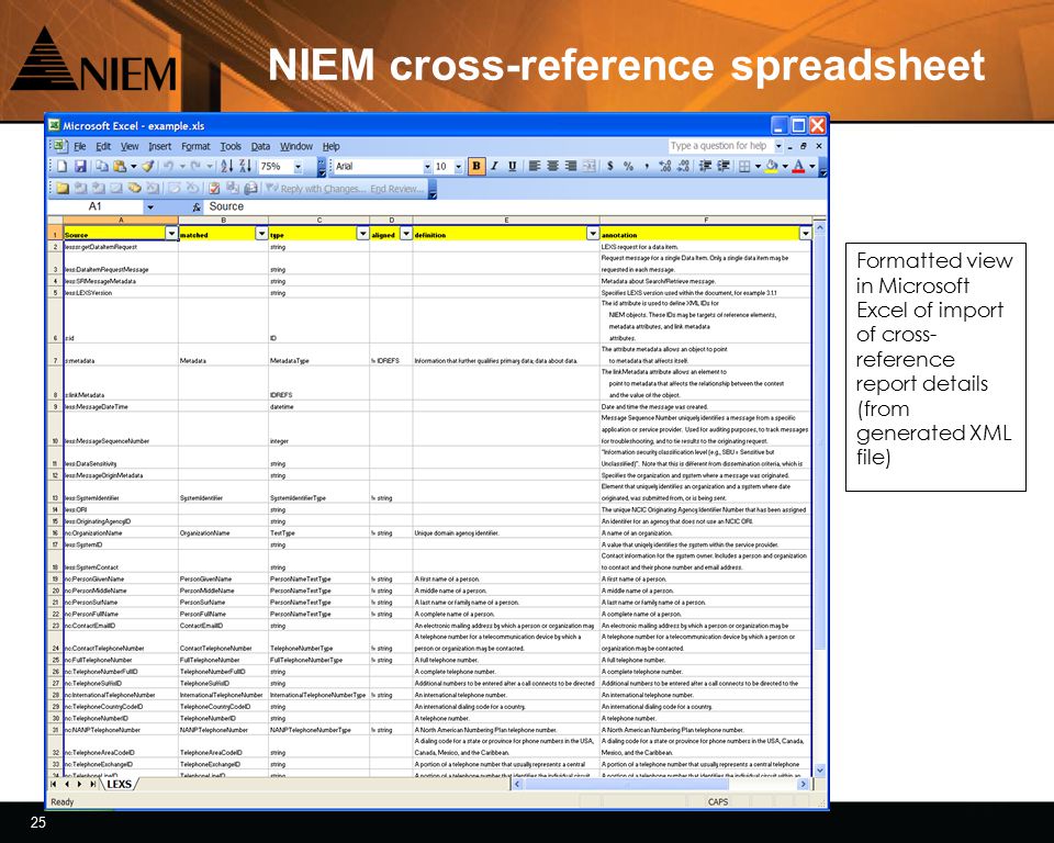 25 NIEM cross-reference spreadsheet Formatted view in Microsoft Excel of import of cross- reference report details (from generated XML file)