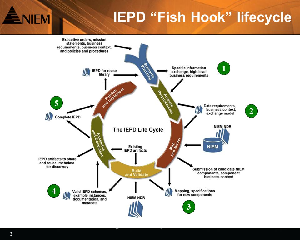 3 3 IEPD Fish Hook lifecycle