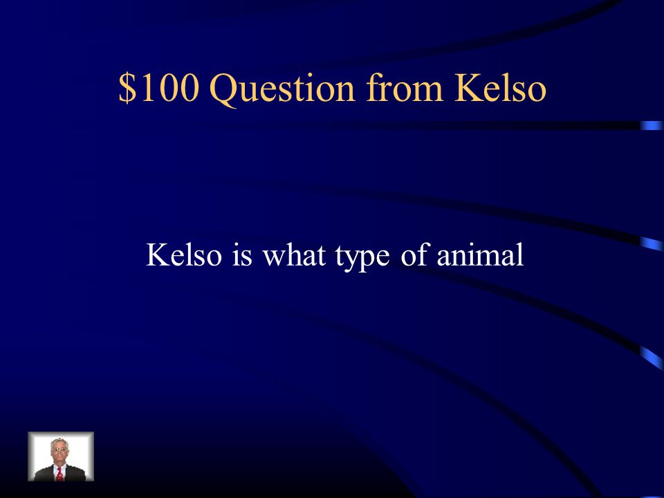 $100 Question from Kelso Kelso is what type of animal