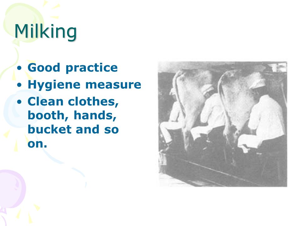 Milking Good practice Hygiene measure Clean clothes, booth, hands, bucket and so on.