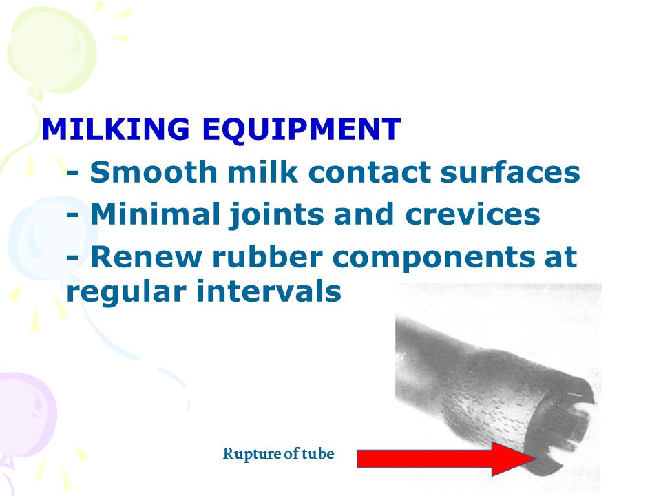 MILKING EQUIPMENT - Smooth milk contact surfaces - Minimal joints and crevices - Renew rubber components at regular intervals Rupture of tube