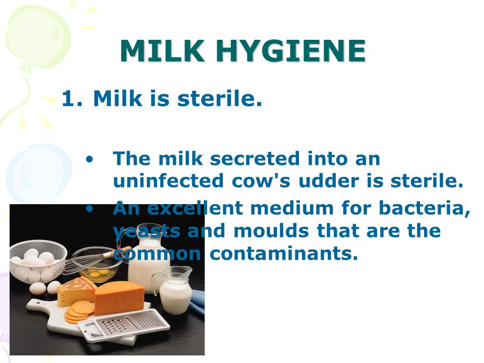 MILK HYGIENE 1.Milk is sterile. The milk secreted into an uninfected cow s udder is sterile.