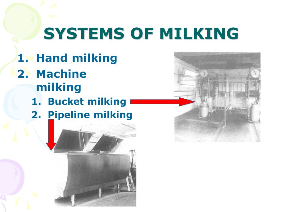 SYSTEMS OF MILKING 1.Hand milking 2.Machine milking 1.Bucket milking 2.Pipeline milking
