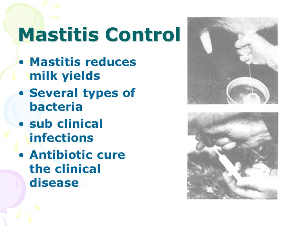 Mastitis Control Mastitis reduces milk yields Several types of bacteria sub clinical infections Antibiotic cure the clinical disease