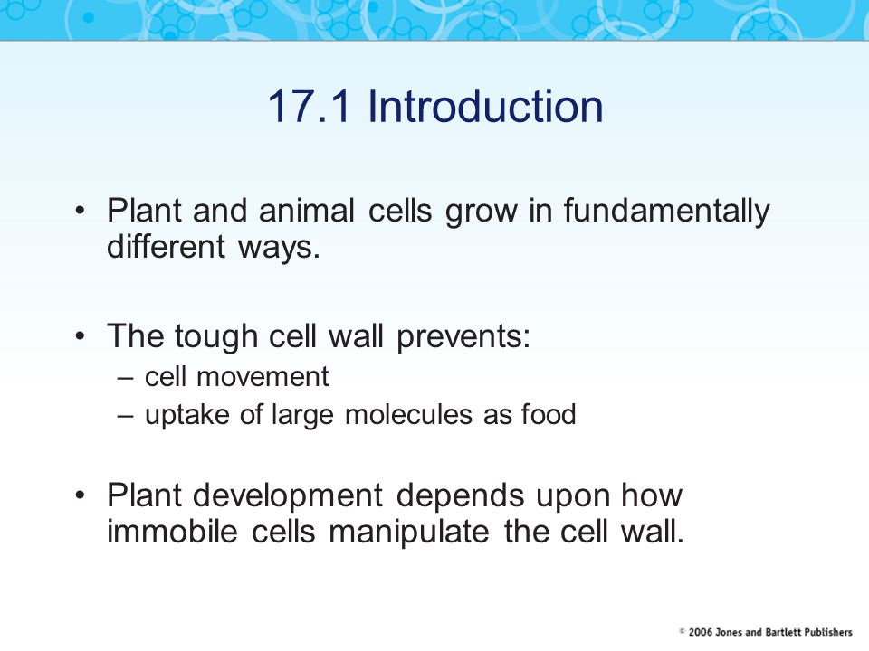 Chapter 17 Plant cell biology By Clive Lloyd Introduction Plant and animal  cells grow in fundamentally different ways. The tough cell wall prevents: -  ppt download
