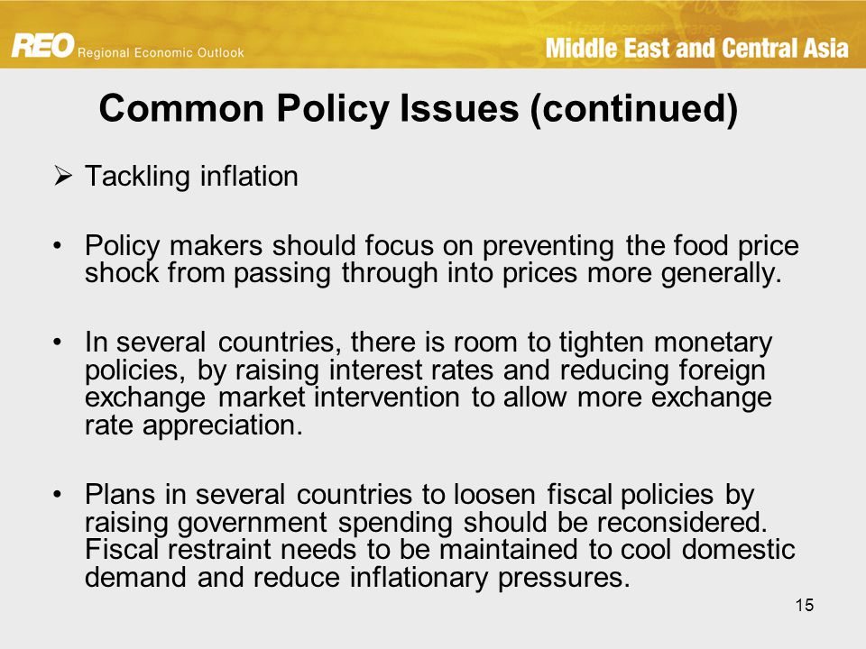 15 Common Policy Issues (continued)  Tackling inflation Policy makers should focus on preventing the food price shock from passing through into prices more generally.