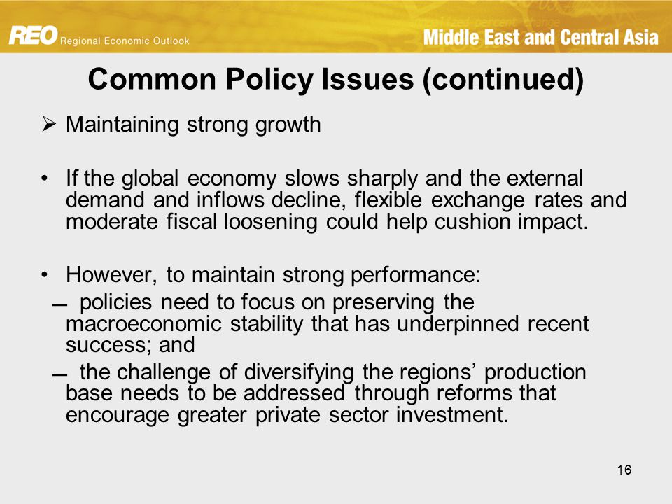 16 Common Policy Issues (continued)  Maintaining strong growth If the global economy slows sharply and the external demand and inflows decline, flexible exchange rates and moderate fiscal loosening could help cushion impact.