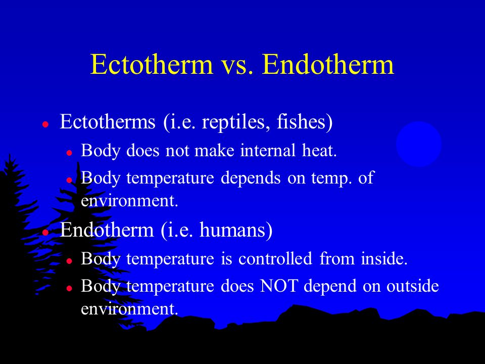 platyhelminthes ectotherm vagy endoterm)