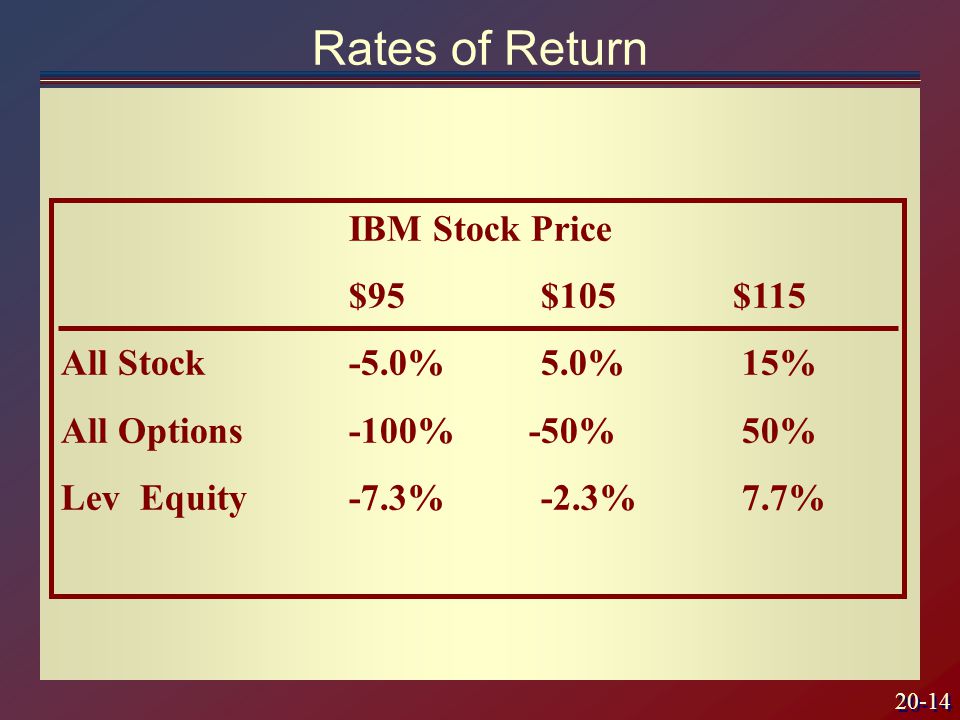 20-14 IBM Stock Price $95$105$115 All Stock-5.0%5.0% 15% All Options-100% -50% 50% Lev Equity -7.3%-2.3% 7.7% Rates of Return