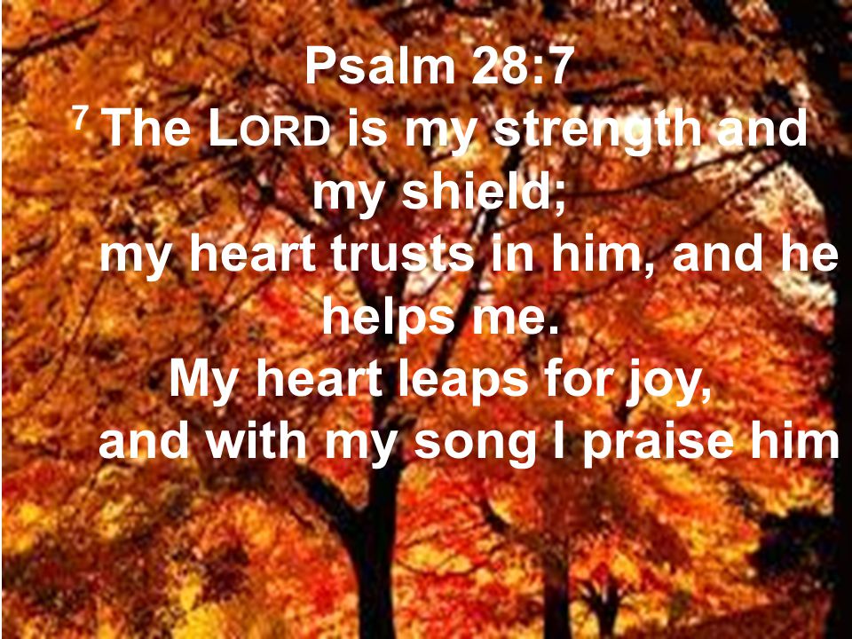 Psalm 28:7 7 The L ORD is my strength and my shield; my heart trusts in him, and he helps me.