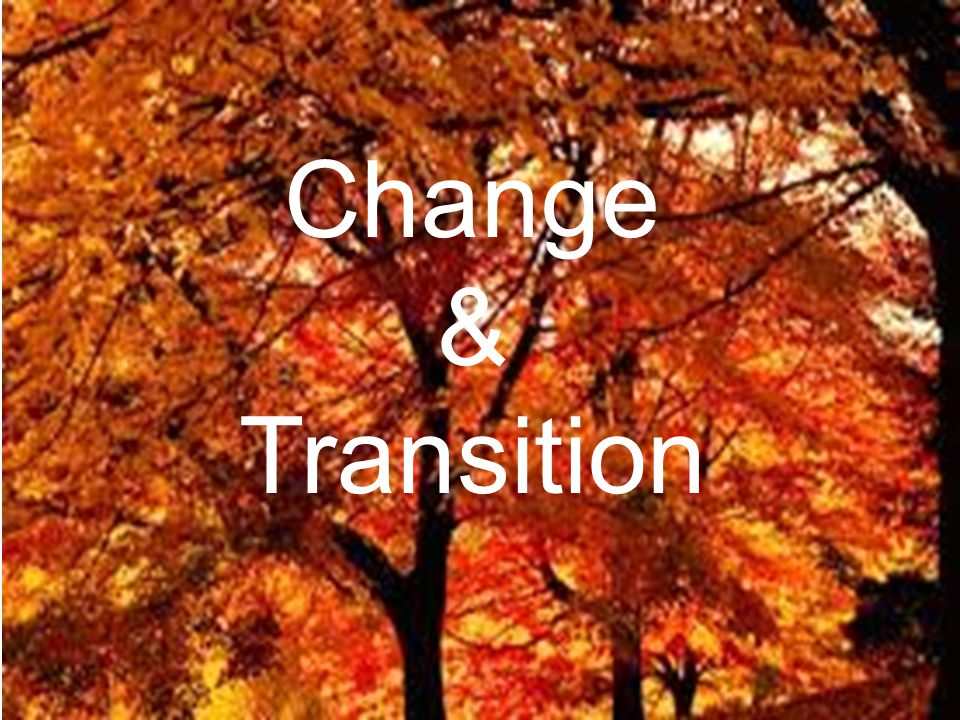 Change & Transition