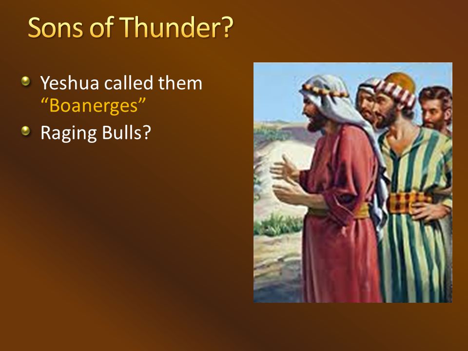Yeshua called them Boanerges Raging Bulls