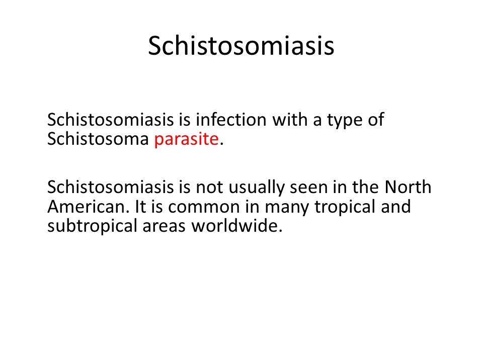 schistosomiasis usmle