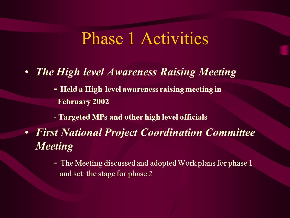 Phase 1 Activities The High level Awareness Raising Meeting - Held a High-level awareness raising meeting in February Targeted MPs and other high level officials First National Project Coordination Committee Meeting - The Meeting discussed and adopted Work plans for phase 1 and set the stage for phase 2