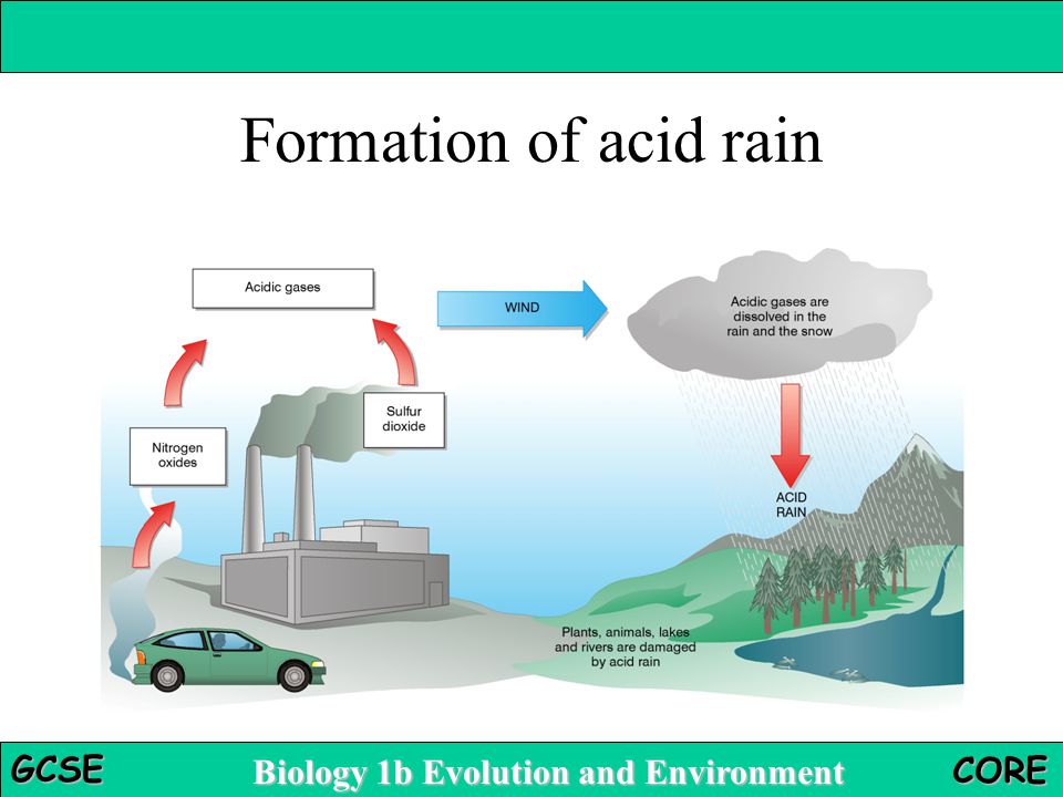 Acid rain перевод 7 класс. Что такое кислотный дождь на английском. Кислотные осадки образование. Как решить проблему кислотного дождя на английском. Борьба с кислотными осадками.