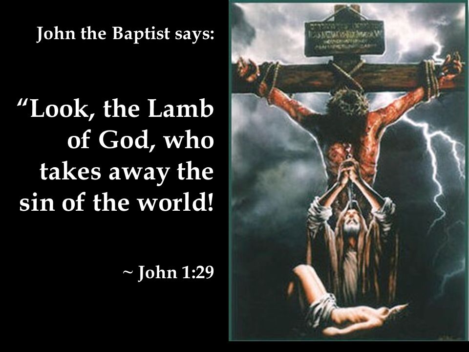John the Baptist says: Look, the Lamb of God, who takes away the sin of the world! ~ John 1:29