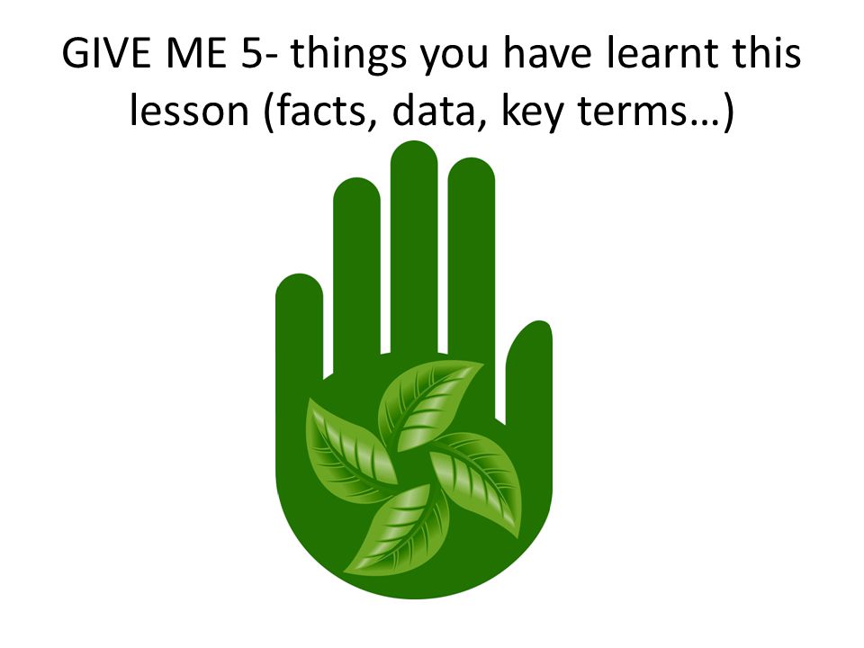 GIVE ME 5- things you have learnt this lesson (facts, data, key terms…)