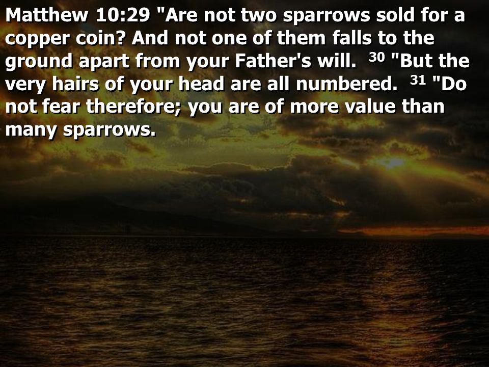 Matthew 10:29 Are not two sparrows sold for a copper coin.