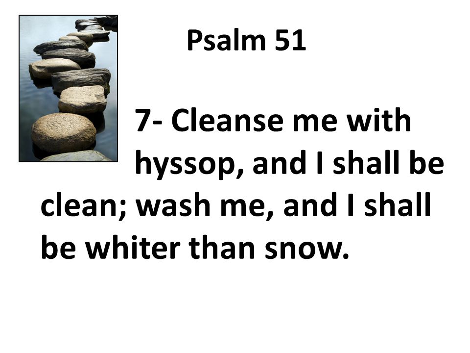 Psalm Cleanse me with hyssop, and I shall be clean; wash me, and I shall be whiter than snow.