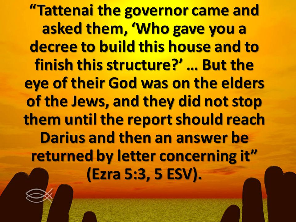 Tattenai the governor came and asked them, ‘Who gave you a decree to build this house and to finish this structure ’ … But the eye of their God was on the elders of the Jews, and they did not stop them until the report should reach Darius and then an answer be returned by letter concerning it (Ezra 5:3, 5 ESV).