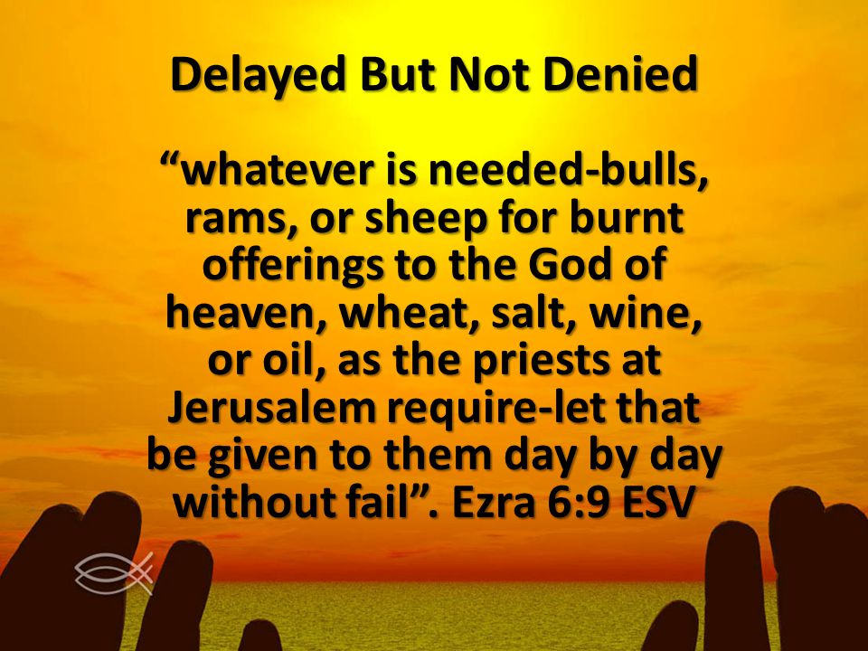 Delayed But Not Denied whatever is needed-bulls, rams, or sheep for burnt offerings to the God of heaven, wheat, salt, wine, or oil, as the priests at Jerusalem require-let that be given to them day by day without fail .